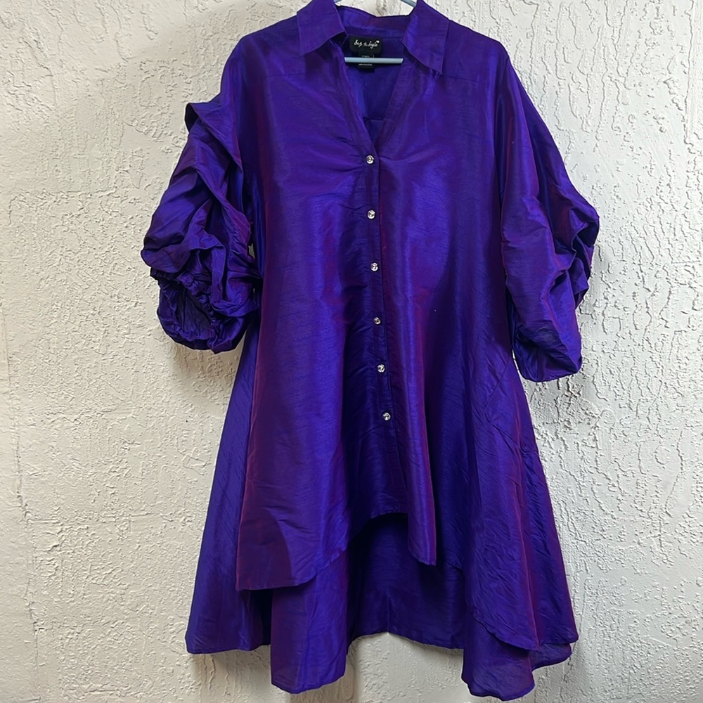 Step in Style dress/shirt